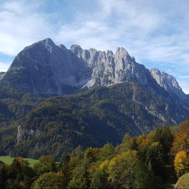 Tiroler Haus Petra Kirchdorf in Tirol
